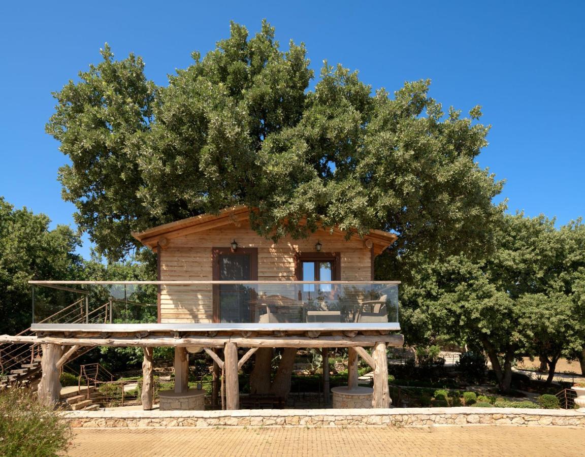 Stolidi Mou Treehouse Atsipopoulo Exterior foto